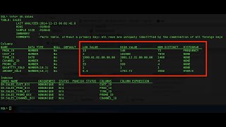 SQLcl the SQL Developer Command Line Some of the cool features [upl. by Atirhs]