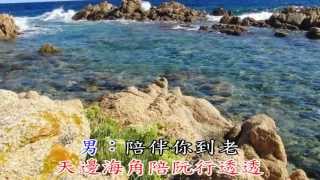 羅時豐 林淑容 陪伴妳到老 KTV [upl. by Lette]