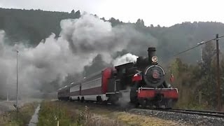 TREN EL VALDIVIANO  VALDIVIA  ANTILHUE PATRIMONIO FERROVIARIO VALDIVIA [upl. by Solana]