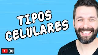 TIPOS DE CÉLULAS Tipos Celulares  Biologia com Samuel Cunha [upl. by Eidnar]