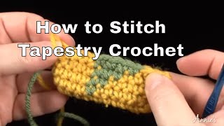 How to Stitch Tapestry Crochet  an Annies Tutorial [upl. by Aneral]