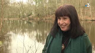 Brocéliande une forêt et des légendes [upl. by Obeng]