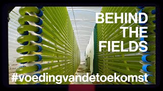 🧪 Het smaakt niet naar de zee  Behind the Fields [upl. by Grim]