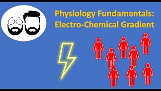 Physiology Fundamentals Electrochemical Gradient [upl. by Showker]