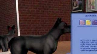 How to make Sonic Pets on The Sims 2 Pets [upl. by Masera]