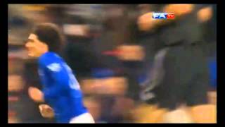 ►Mourane Fellaini◆ Goals and Skills◆ Everton 20112012 [upl. by Airtemad170]