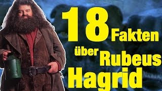 18 FAKTEN über Rubeus HAGRID [upl. by Essenaj]