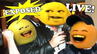 Daneboe Live 3 Annoying Orange Crew [upl. by Peyter78]