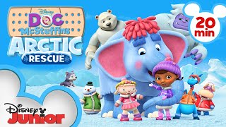 Arctic Rescue  20 Minute Compilation  Doc McStuffins  disneyjr [upl. by Harbour]