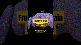 Princeton Mapped Fruit Flys Brain 🪰😮 shorts science technology [upl. by Uttasta615]