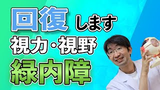 【事例】緑内障でも視力・視野回復する [upl. by Hosfmann]