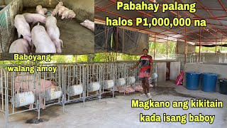 BABOYANG WALANG AMOY  MAGKANO BA ANG KITAAN SA BABOY  GENSAN [upl. by Bernelle106]