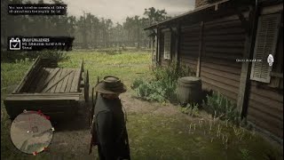 Crude Arrowhead Location  Red Dead Online [upl. by Adnuhsed178]