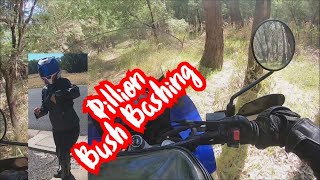 Offroad with PILLION KLR 650 outback Australia near Yarrawonga [upl. by Corrie]