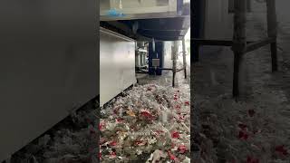 PET shredding and recycling  Plastic shredder [upl. by Nevak403]