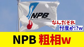 NPB 普通にやらかすwwwww【野球情報】【2ch 5ch】【なんJ なんG反応】【野球スレ】 [upl. by Euqinitram880]