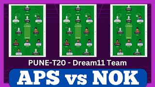 APS vs NOK prediction APS vs NOK dream11 team APS vs NOK dream11 [upl. by Pittel]