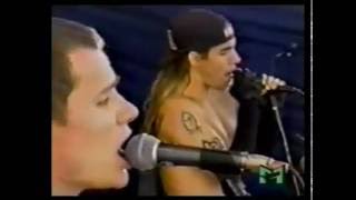 Red Hot Chili Peppers  Live PinkPop Festival 1990 [upl. by Segal]