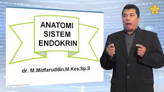 ELearning Anatomi Sistem Endokrin  Bagian 2 [upl. by Verne]