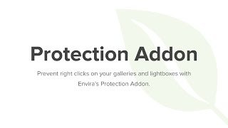 Envira Gallerys Protection Addon [upl. by Otnas]