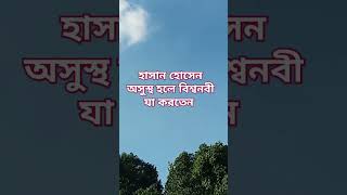 হাসান হোসেনের অসুস্থ হলে বিশ্বনবী যা করতেন vairalvideo unfreezemyaccaunt islamicvideo [upl. by Austina]