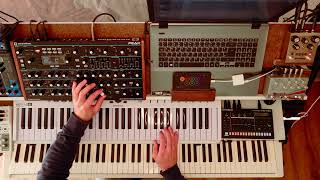 Novation Peak live looping [upl. by Mandel]