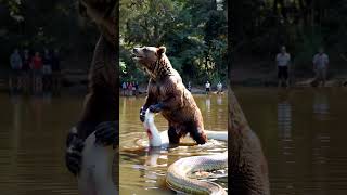 Albino python meets grizzly bear youtubeshorts pythonsnake animals giantpython RareAnimal [upl. by Morrell51]