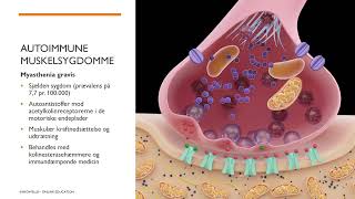 Patologi sygdomslære  Muskelsygdomme [upl. by Diad]