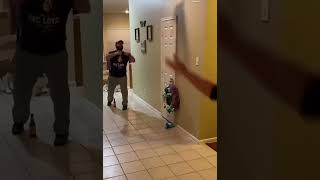 BABYS amp TODDLER PRANKS 🤣🤣🤣 prank justforlaugh laugh [upl. by Elvina945]