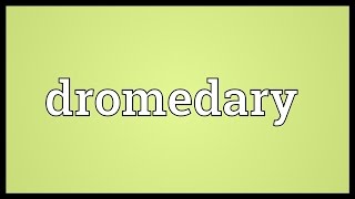 Dromedary Meaning [upl. by Winnie496]