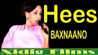 SAAMIYA IBRAAHIM HEES BAXNAANO 2019 [upl. by Pegeen]