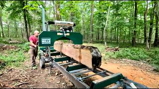 WoodMizer SilverTip Blade On Big Red Oak [upl. by Nelyt]