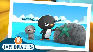 Octonauts  The Great Arctic Adventure  Earth Day 🌎 Special  Season 3  Cartoons for Kids [upl. by Lyns]