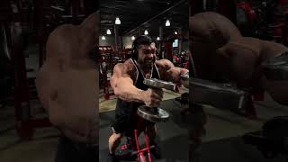 DEREK LUNSFORD SHOULDERS WORKOUT shoulder shoulderworkout dereklunsford bodybuilding gym [upl. by Anilave]