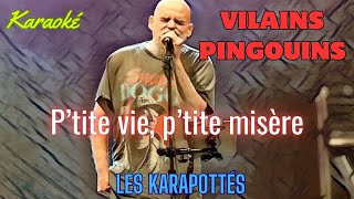 Vilains Pingouins  P’tite vie p’tite misère Karaoké [upl. by Dirraj]