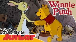 Kleine Abenteuer mit Winnie Puuh  Winnie Puuh besucht Rabbit  Disney Junior [upl. by Ami120]