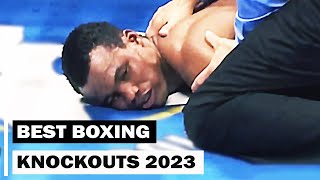 Best Boxing Knockouts of 2023 [upl. by Oleusnoc585]