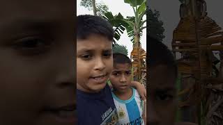 Amazing village life villagevlog shortvideo villagelife grampallikrishi [upl. by Woodson571]