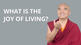 What Is the Joy of Living — Mingyur Rinpoche [upl. by Kung]