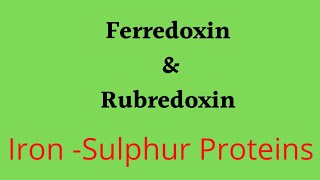 Ferredoxin amp Ruberdoxins Iron Sulphur Proteins [upl. by Dhiren]