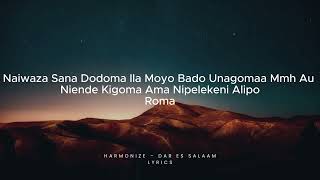 Harmonize  Dar es Salaam Lyrics Video  Sing Along with Harmonize [upl. by Lleddaw244]