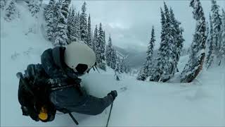 Rogers Pass Skiing  Puff Daddy zone [upl. by Taite]