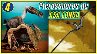 PTEROSSAUROS EVOLUÇÃO dos PTERANODONTÓIDES do CRETÁCEO  Especial Pterossauros 4 [upl. by Acino]