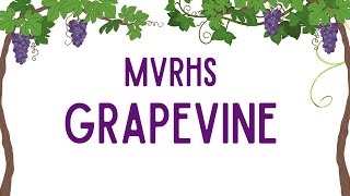 Grapevine 1111 [upl. by Atirehs]