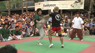 Taekwondo vs Muay Thai  part 3 [upl. by Prudi]