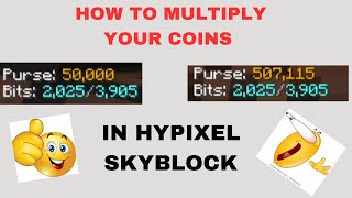 How to Multiply Your Coins  Hypixel Skyblock [upl. by Ybocaj247]