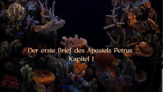 Der erste Brief des Apostels Petrus Kapitel 1Jesus Gott Religion Beten Christen Kirche Glaube [upl. by Sirak]