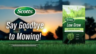 Why Everyone is Switching to Scotts Low Grow Grass Seed Parody Commercial [upl. by Pippy393]