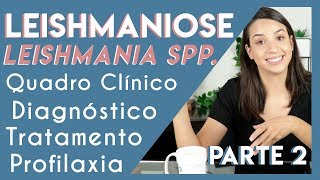 Leishmaniose Leishmania spp  Parte 2  PARASITOLOGIA 5 [upl. by Gausman]