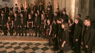 Abschied vom Walde Felix Mendelssohn Bartholdy – Kärntner Landesjugendchor [upl. by Jovi]